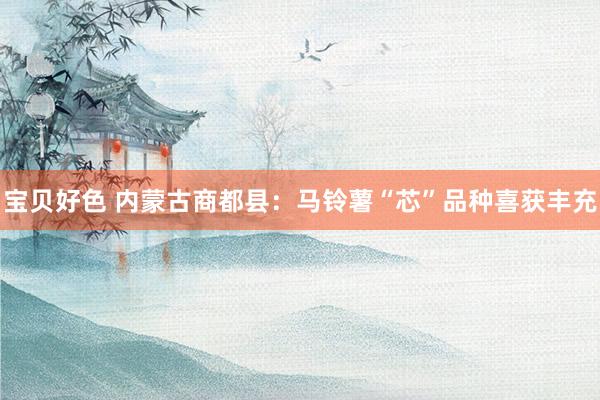 宝贝好色 内蒙古商都县：马铃薯“芯”品种喜获丰充