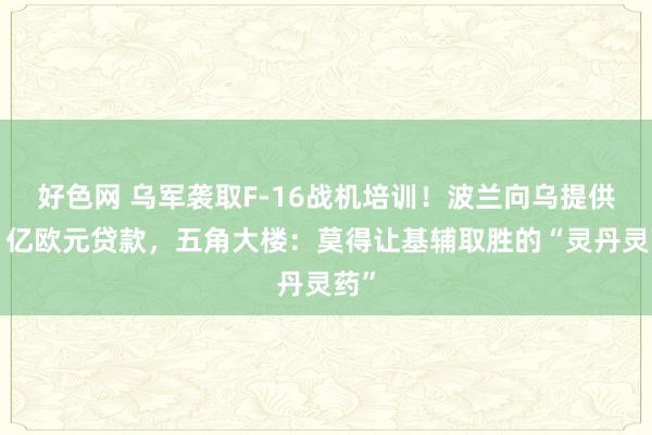 好色网 乌军袭取F-16战机培训！波兰向乌提供超1亿欧元贷款，五角大楼：莫得让基辅取胜的“灵丹灵药”