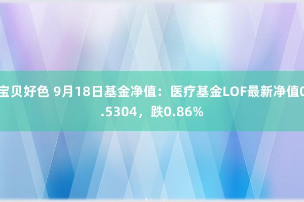 宝贝好色 9月18日基金净值：医疗基金LOF最新净值0.5304，跌0.86%
