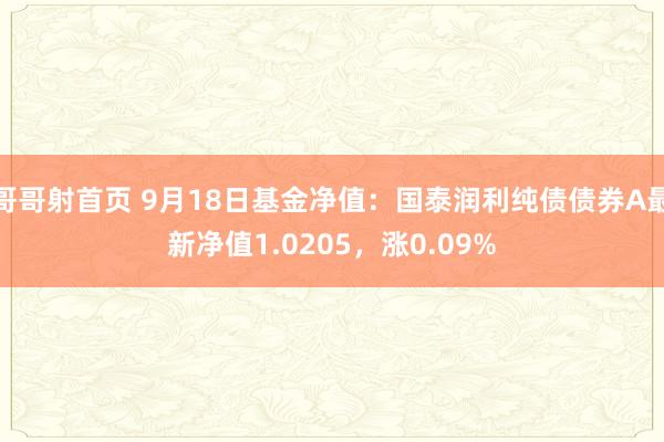 哥哥射首页 9月18日基金净值：国泰润利纯债债券A最新净值1.0205，涨0.09%