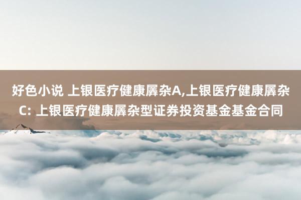 好色小说 上银医疗健康羼杂A,上银医疗健康羼杂C: 上银医疗健康羼杂型证券投资基金基金合同