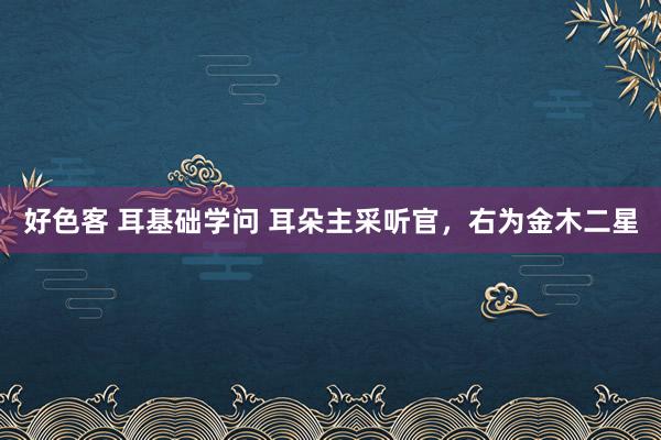 好色客 耳基础学问 耳朵主采听官,右为金木二星