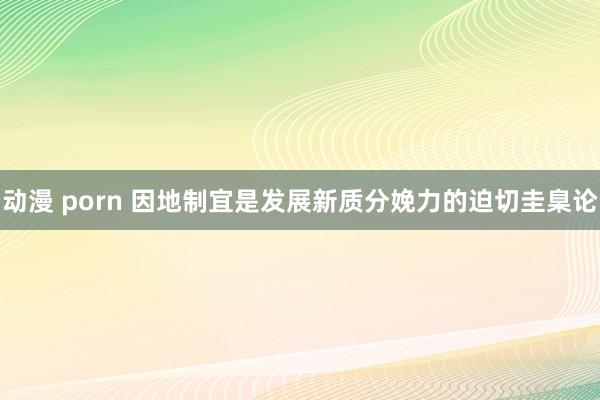 动漫 porn 因地制宜是发展新质分娩力的迫切圭臬论