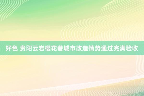 好色 贵阳云岩樱花巷城市改造情势通过完满验收