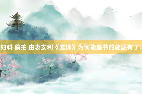 妇科 偷拍 由衷安利《宠嫁》为何能追书的能源有了！