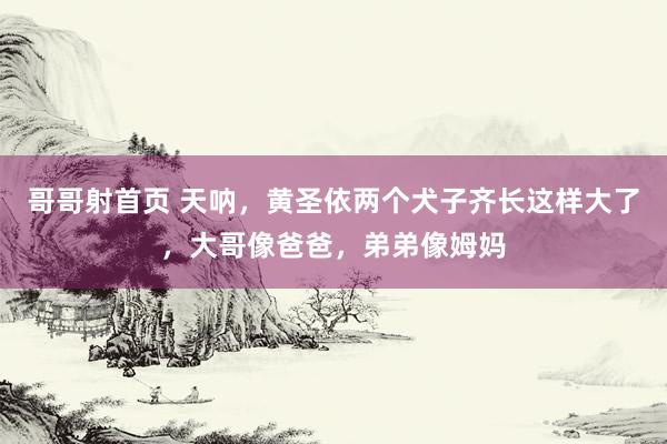 哥哥射首页 天呐，黄圣依两个犬子齐长这样大了，大哥像爸爸，弟弟像姆妈