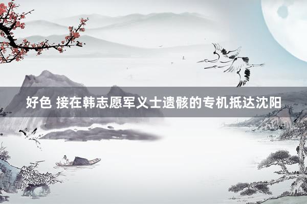 好色 接在韩志愿军义士遗骸的专机抵达沈阳