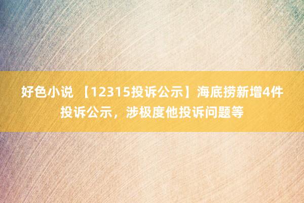 好色小说 【12315投诉公示】海底捞新增4件投诉公示，涉极度他投诉问题等