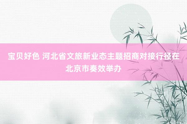 宝贝好色 河北省文旅新业态主题招商对接行径在北京市奏效举办