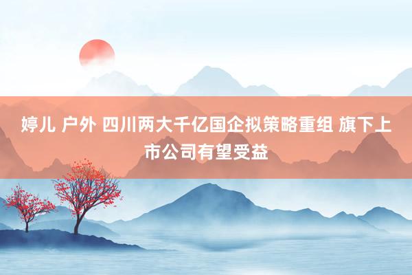 婷儿 户外 四川两大千亿国企拟策略重组 旗下上市公司有望受益