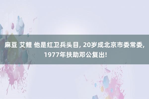 麻豆 艾鲤 他是红卫兵头目， 20岁成北京市委常委， 1977年扶助邓公复出!