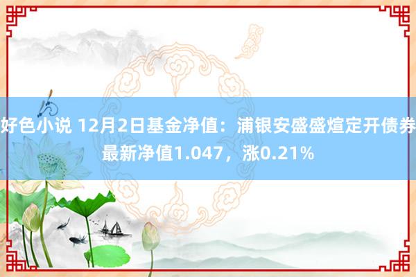 好色小说 12月2日基金净值：浦银安盛盛煊定开债券最新净值1.047，涨0.21%