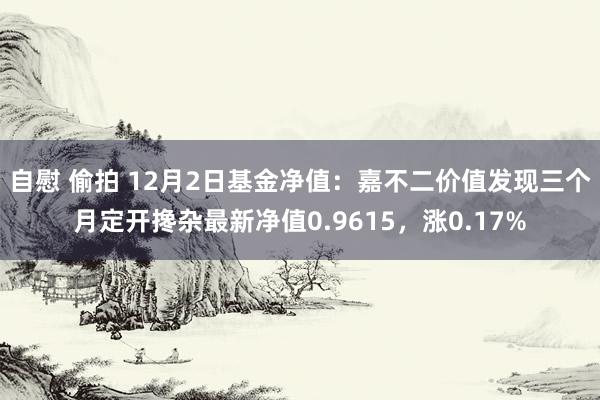 自慰 偷拍 12月2日基金净值：嘉不二价值发现三个月定开搀杂最新净值0.9615，涨0.17%