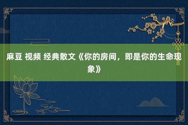 麻豆 视频 经典散文《你的房间，即是你的生命现象》
