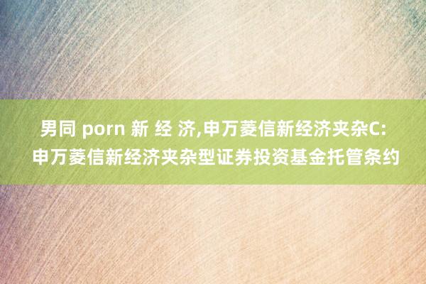 男同 porn 新 经 济,申万菱信新经济夹杂C: 申万菱信新经济夹杂型证券投资基金托管条约