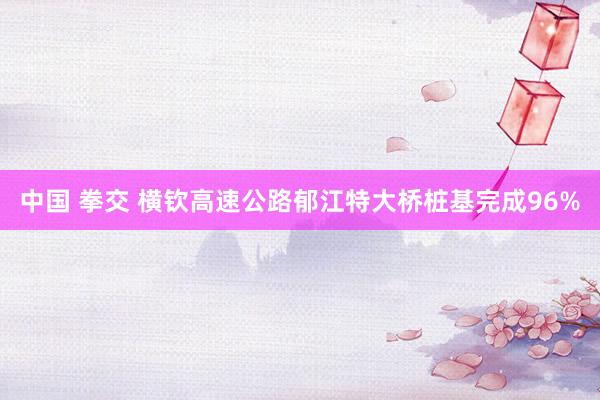 中国 拳交 横钦高速公路郁江特大桥桩基完成96%
