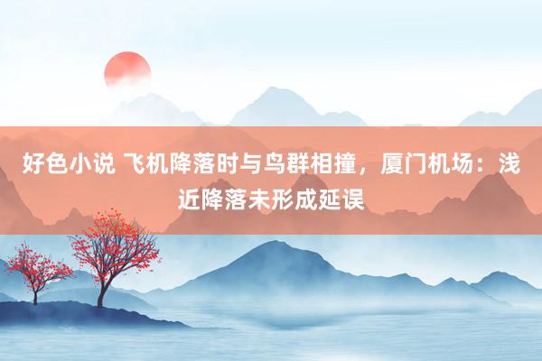 好色小说 飞机降落时与鸟群相撞，厦门机场：浅近降落未形成延误