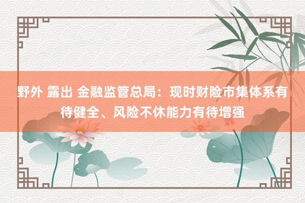 野外 露出 金融监管总局：现时财险市集体系有待健全、风险不休能力有待增强