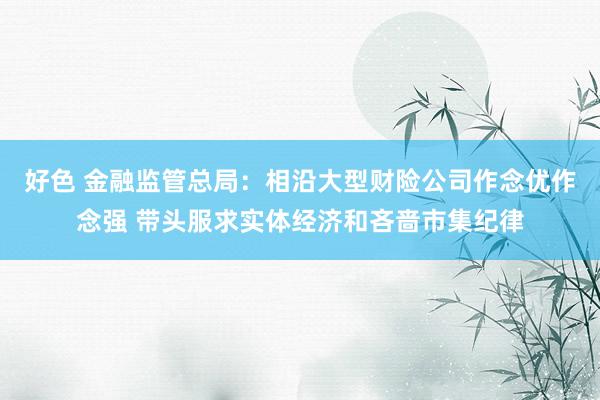 好色 金融监管总局：相沿大型财险公司作念优作念强 带头服求实体经济和吝啬市集纪律