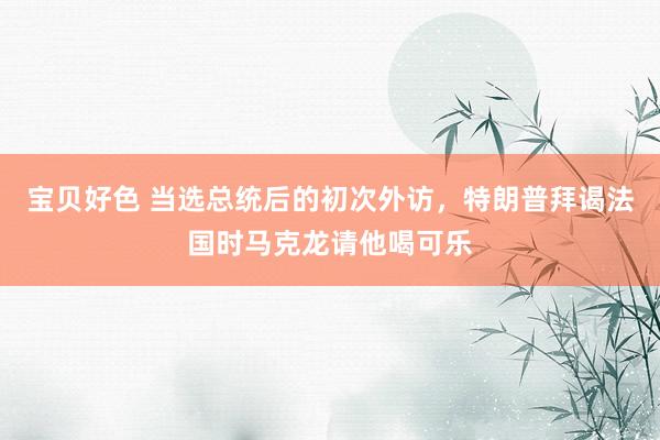 宝贝好色 当选总统后的初次外访，特朗普拜谒法国时马克龙请他喝可乐