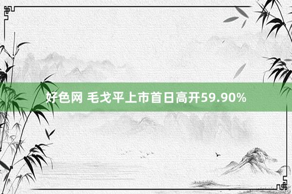 好色网 毛戈平上市首日高开59.90%