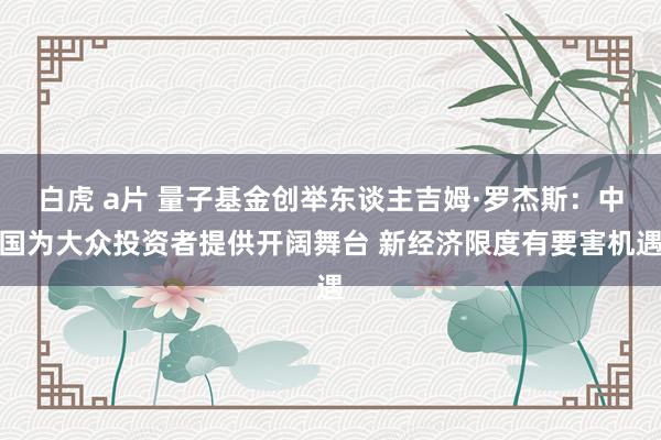 白虎 a片 量子基金创举东谈主吉姆·罗杰斯：中国为大众投资者提供开阔舞台 新经济限度有要害机遇