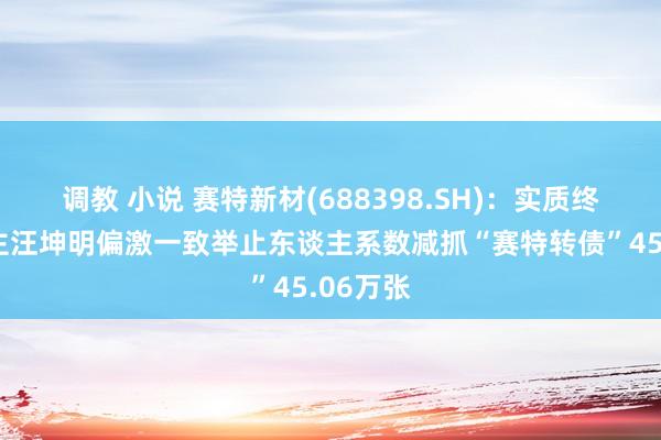 调教 小说 赛特新材(688398.SH)：实质终局东谈主汪坤明偏激一致举止东谈主系数减抓“赛特转债”45.06万张