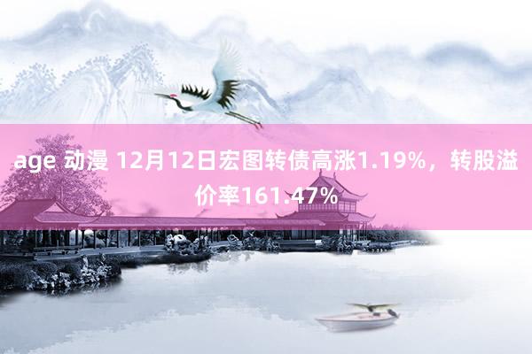 age 动漫 12月12日宏图转债高涨1.19%，转股溢价率161.47%