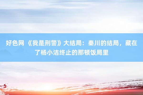 好色网 《我是刑警》大结局：秦川的结局，藏在了杨小洁终止的那顿饭局里