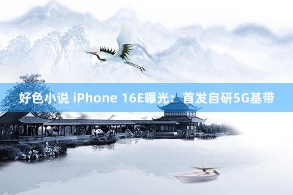 好色小说 iPhone 16E曝光：首发自研5G基带