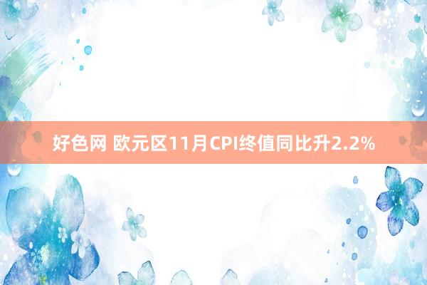 好色网 欧元区11月CPI终值同比升2.2%