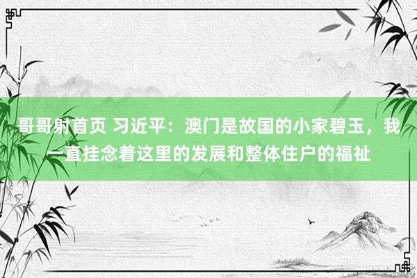哥哥射首页 习近平：澳门是故国的小家碧玉，我一直挂念着这里的发展和整体住户的福祉