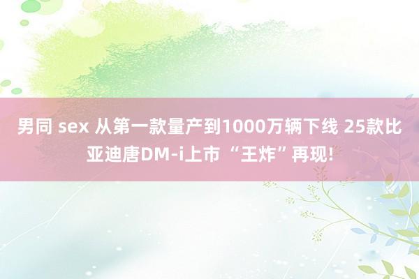 男同 sex 从第一款量产到1000万辆下线 25款比亚迪唐DM-i上市 “王炸”再现!