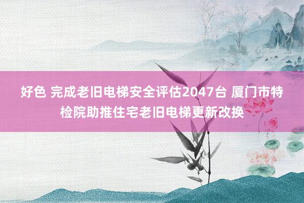 好色 完成老旧电梯安全评估2047台 厦门市特检院助推住宅老旧电梯更新改换