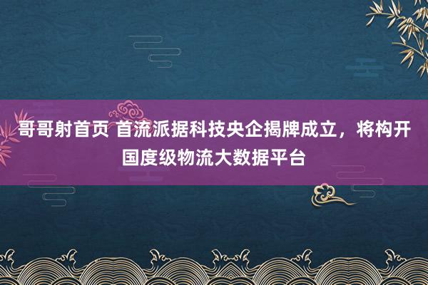 哥哥射首页 首流派据科技央企揭牌成立，将构开国度级物流大数据平台