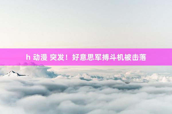 h 动漫 突发！好意思军搏斗机被击落