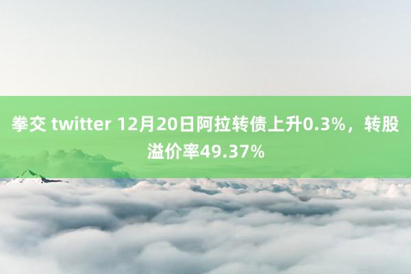 拳交 twitter 12月20日阿拉转债上升0.3%，转股溢价率49.37%