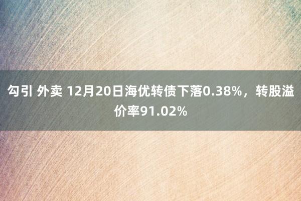 勾引 外卖 12月20日海优转债下落0.38%，转股溢价率91.02%