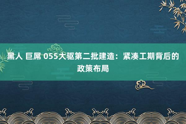 黑人 巨屌 055大驱第二批建造：紧凑工期背后的政策布局