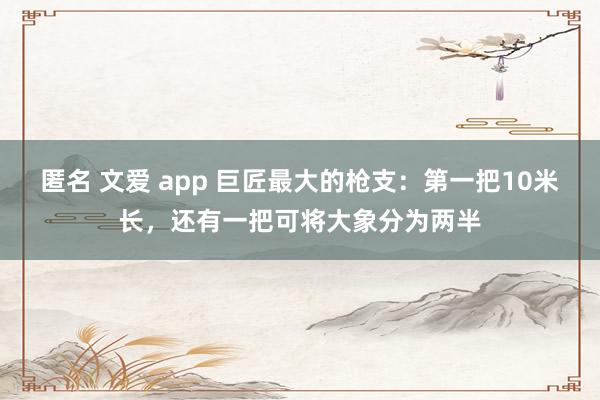 匿名 文爱 app 巨匠最大的枪支：第一把10米长，还有一把可将大象分为两半