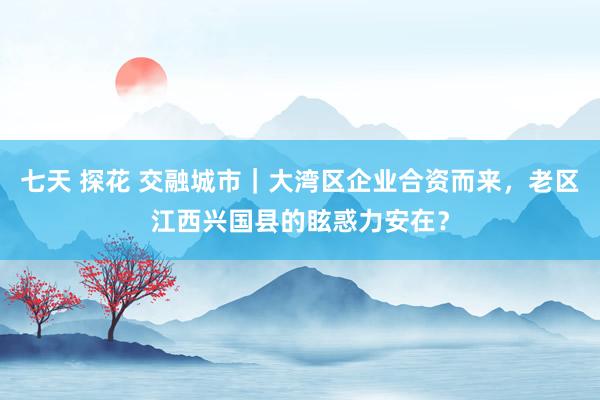 七天 探花 交融城市｜大湾区企业合资而来，老区江西兴国县的眩惑力安在？