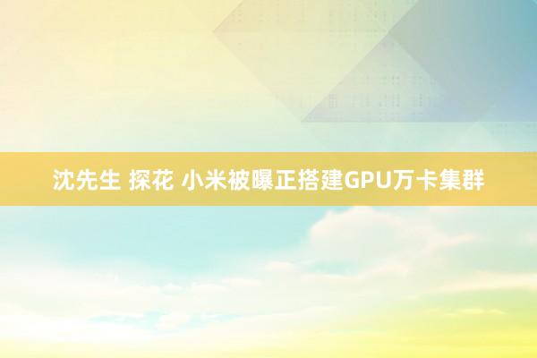 沈先生 探花 小米被曝正搭建GPU万卡集群