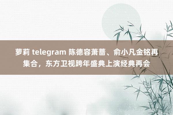 萝莉 telegram 陈德容萧蔷、俞小凡金铭再集合，东方卫视跨年盛典上演经典再会