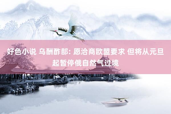 好色小说 乌酬酢部: 愿洽商欧盟要求 但将从元旦起暂停俄自然气过境
