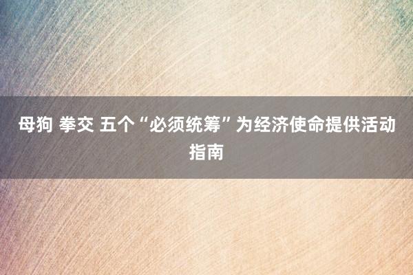 母狗 拳交 五个“必须统筹”为经济使命提供活动指南