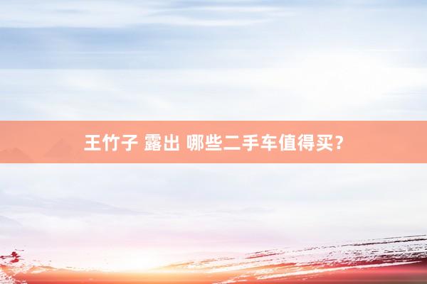 王竹子 露出 哪些二手车值得买？