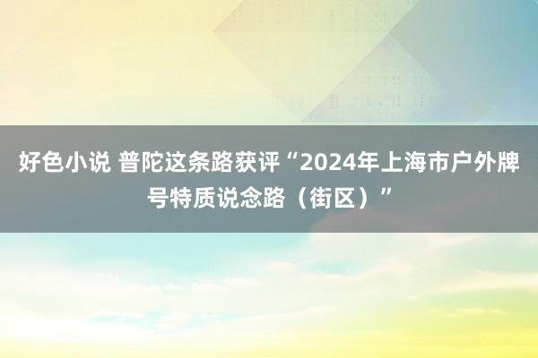 好色小说 普陀这条路获评“2024年上海市户外牌号特质说念路（街区）”