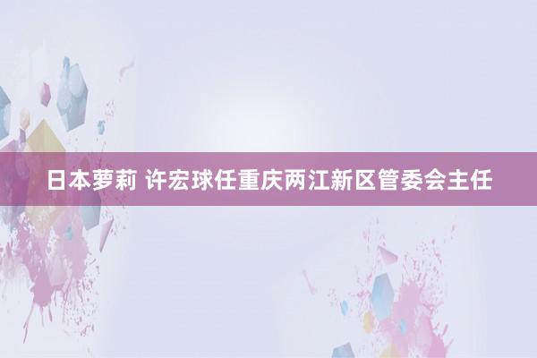 日本萝莉 许宏球任重庆两江新区管委会主任