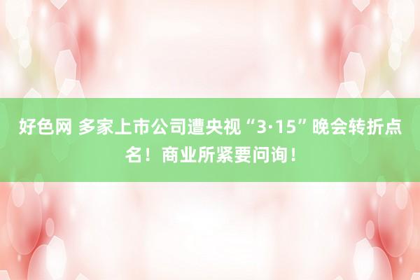 好色网 多家上市公司遭央视“3·15”晚会转折点名！商业所紧要问询！