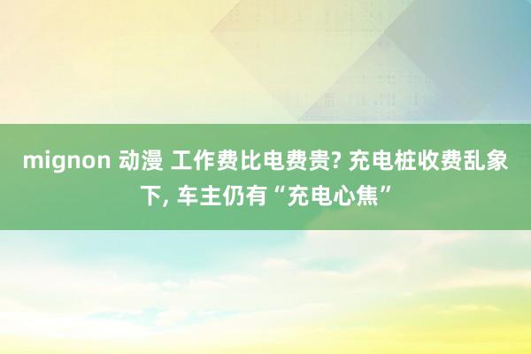mignon 动漫 工作费比电费贵? 充电桩收费乱象下， 车主仍有“充电心焦”